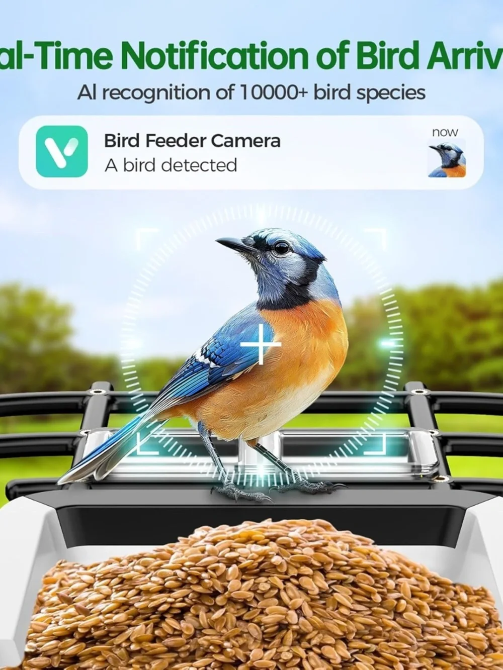 Smart Bird Feeder with Camera - Solar Powered Bird Watching Camera with 2K